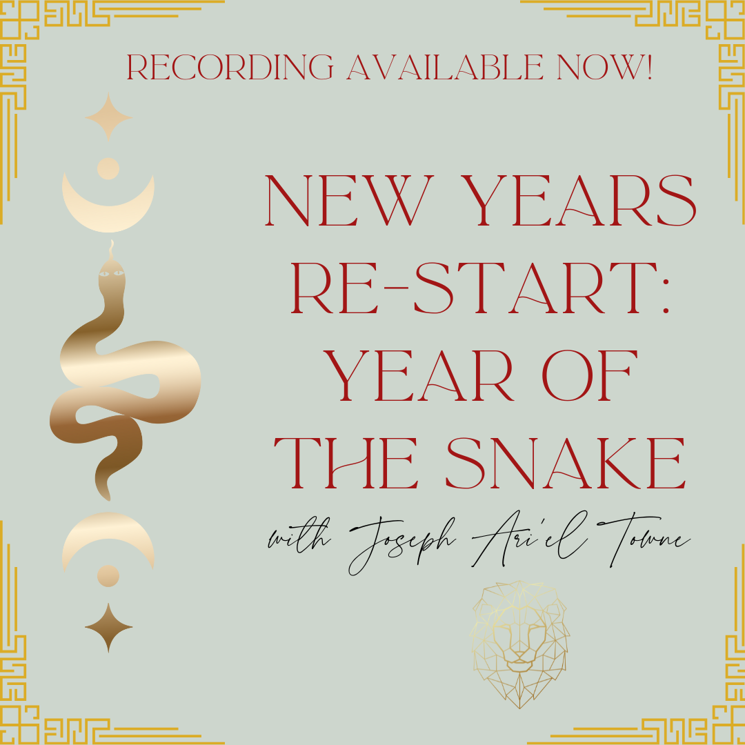 green background with black and red font and gold snake new years re start year of the snake lunar chines